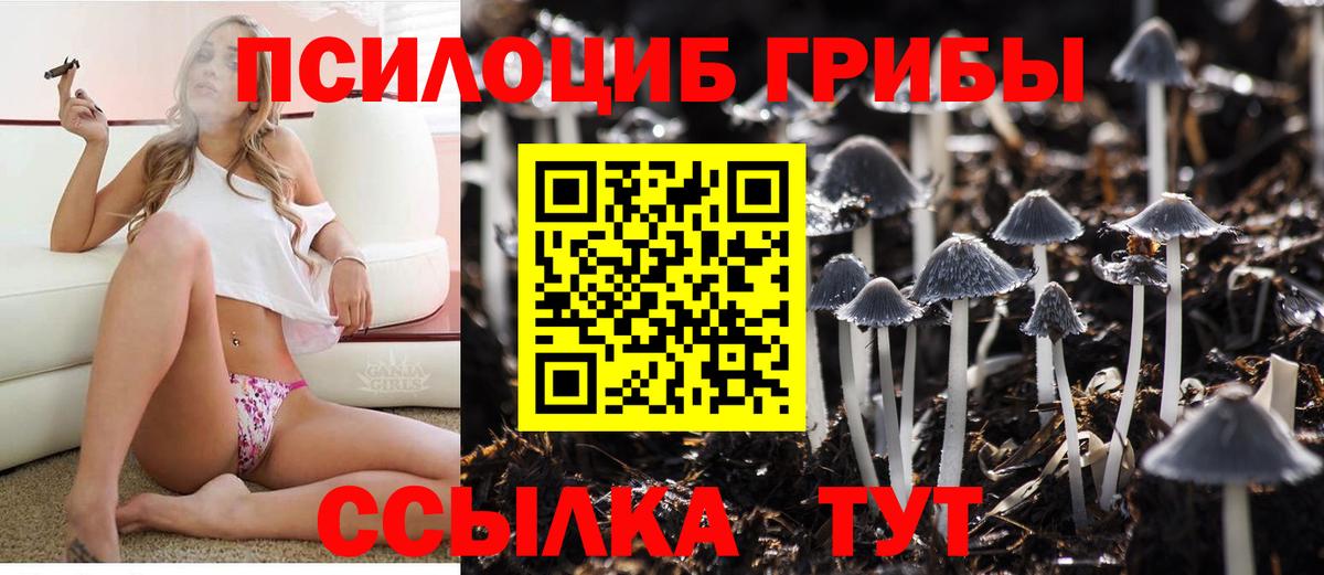Галлюциногенные грибы мухоморы  Галлюциногенные грибы прущие грибы  Вязьма  Вход с VPN 