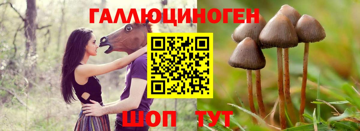 Псилоцибиновые грибы MAGIC MUSHROOMS Вязьма